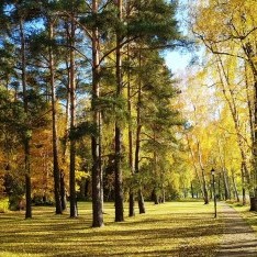 довиль коттеджный поселок купить квартиру