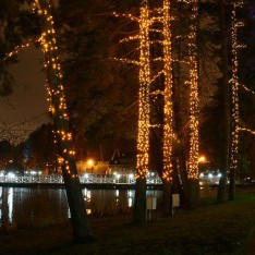 Деревья с подсветкой в КП Довиль